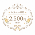 DAMI支払い専用2700円
